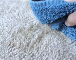 matthews carpet cleaning