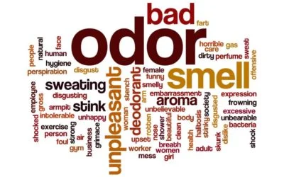 Word cloud highlighting terms related to unpleasant odors, including "bad," "smell," "unpleasant," "sweating," and "disgusting," illustrating various sources and perceptions of odors relevant to cleaning services.