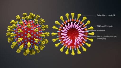 A MESSAGE ABOUT COVID-19 (CORONAVIRUS)