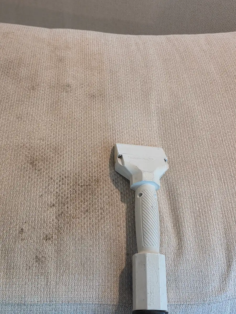 Professional upholstery cleaning service in a Charlotte NC home